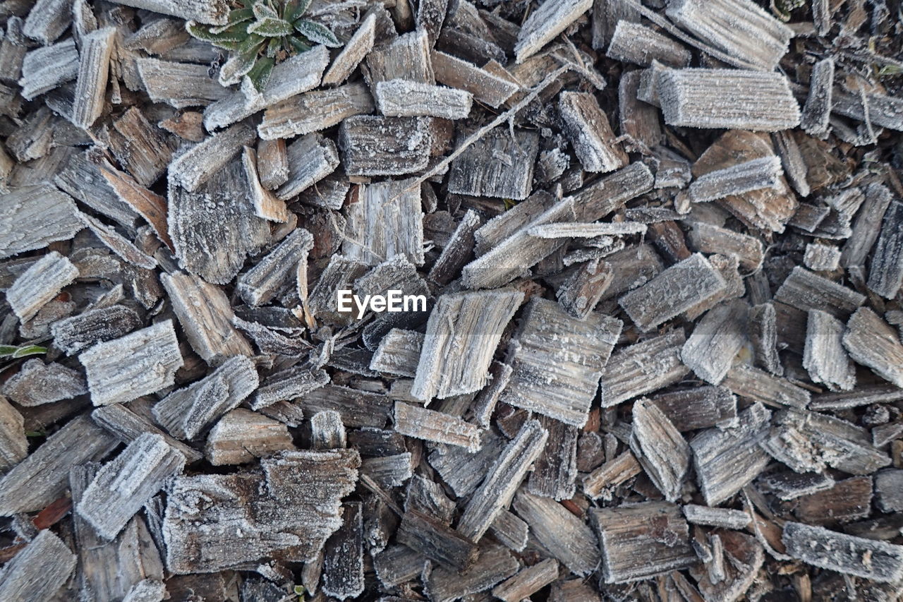 Full frame shot of frosted wood chips