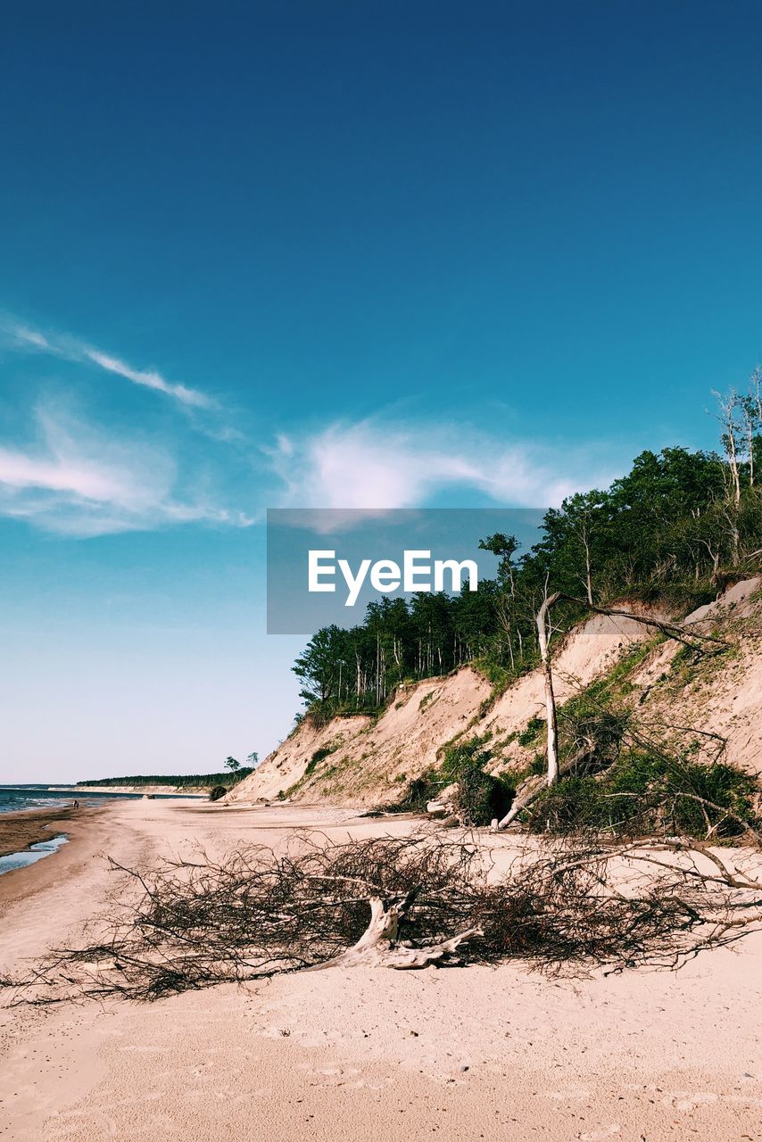 Scenic view of landscape against blue sky