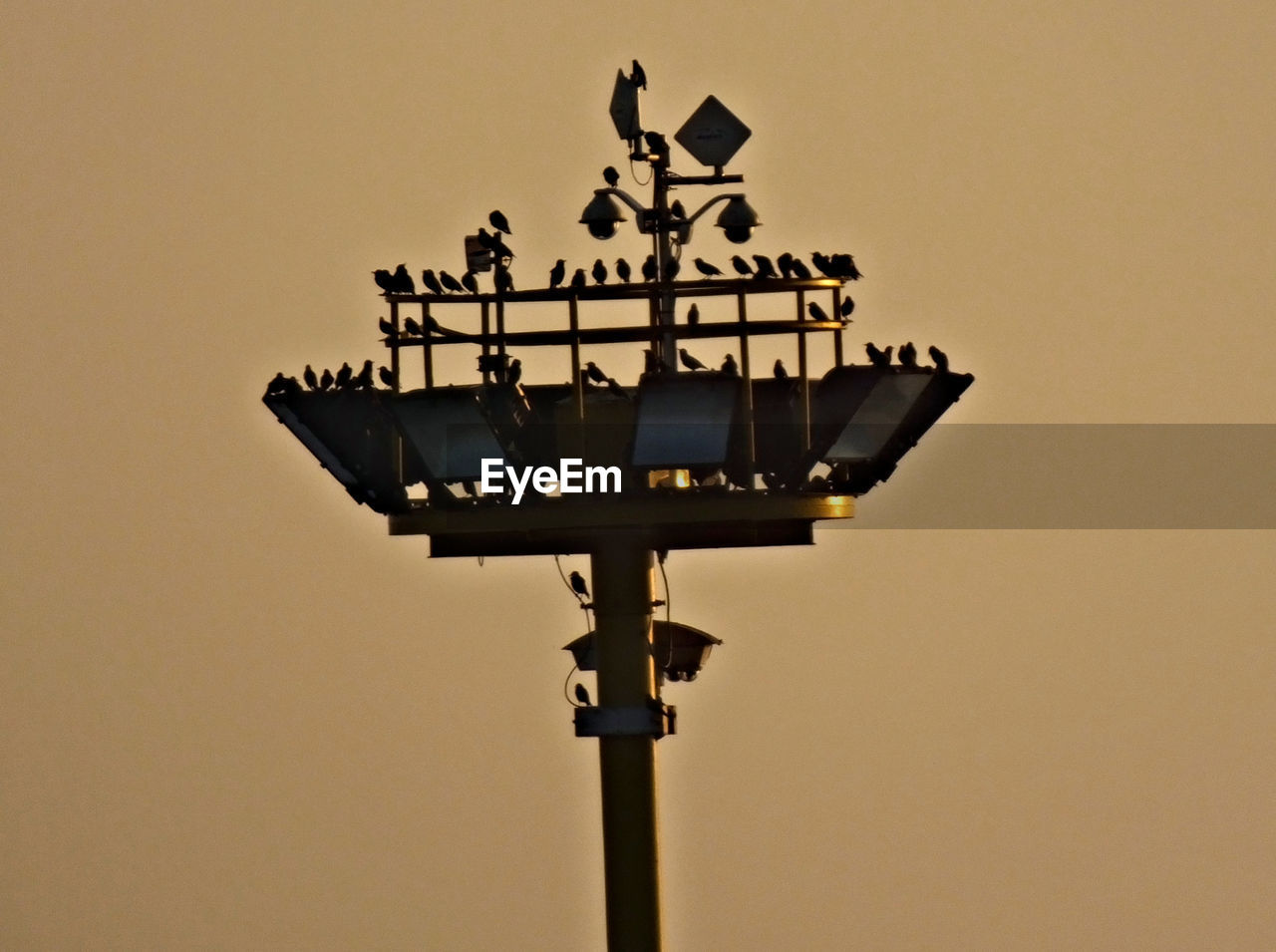 Low angle view of floodlight against clear sky