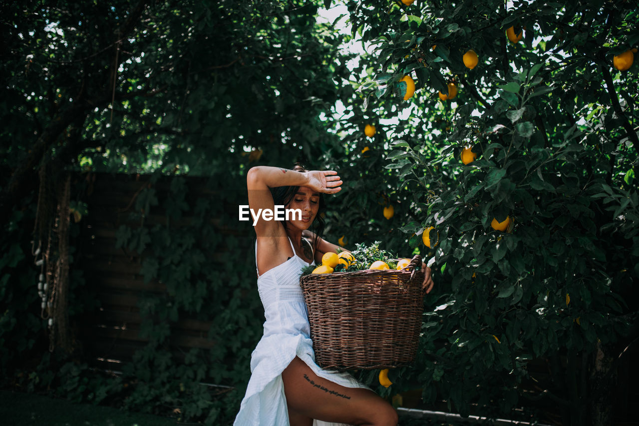 MIDSECTION OF WOMAN HOLDING ICE CREAM IN BASKET