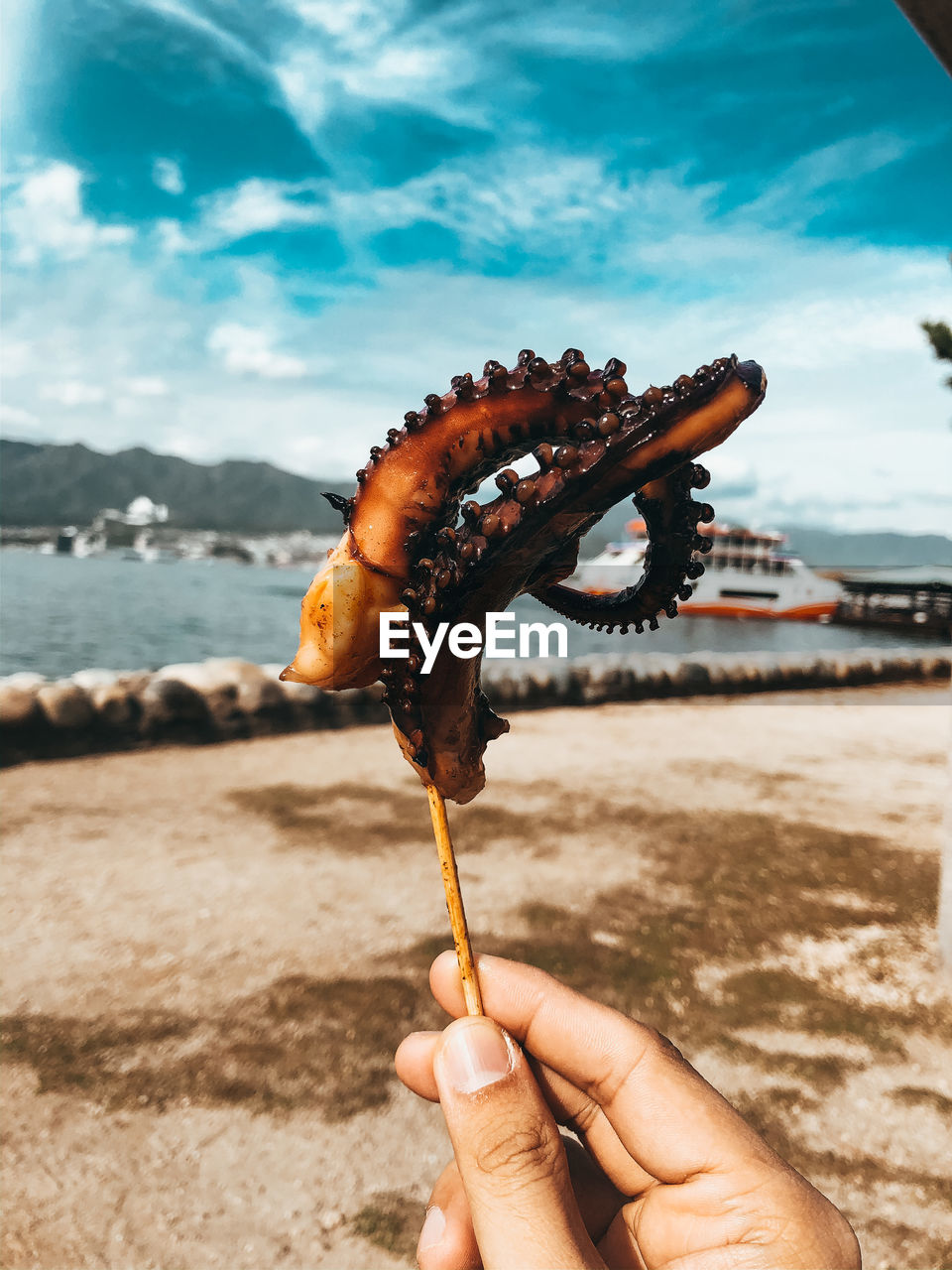 Close-up of hand holding street food grilled octopus stick on beach