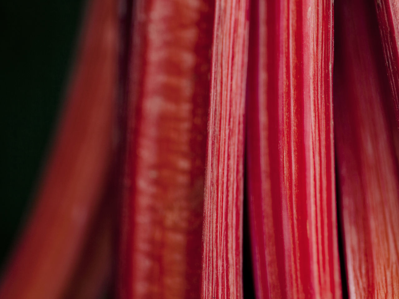 Extreme close-up of rhubarb