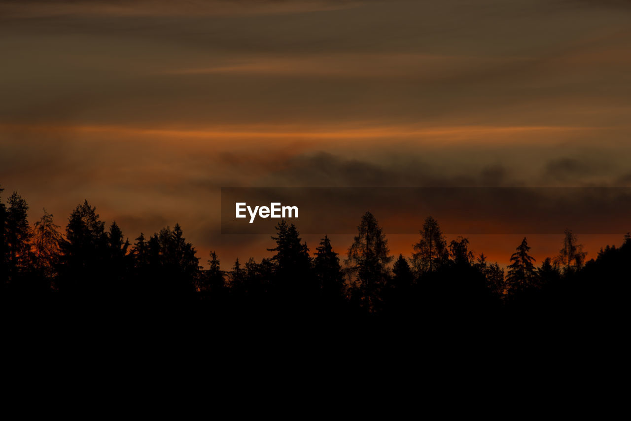 SILHOUETTE TREES ON LANDSCAPE AGAINST SKY AT SUNSET