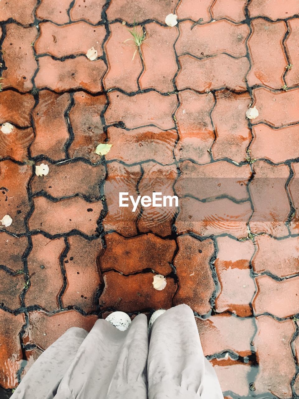 LOW SECTION OF PERSON STANDING ON COBBLESTONE