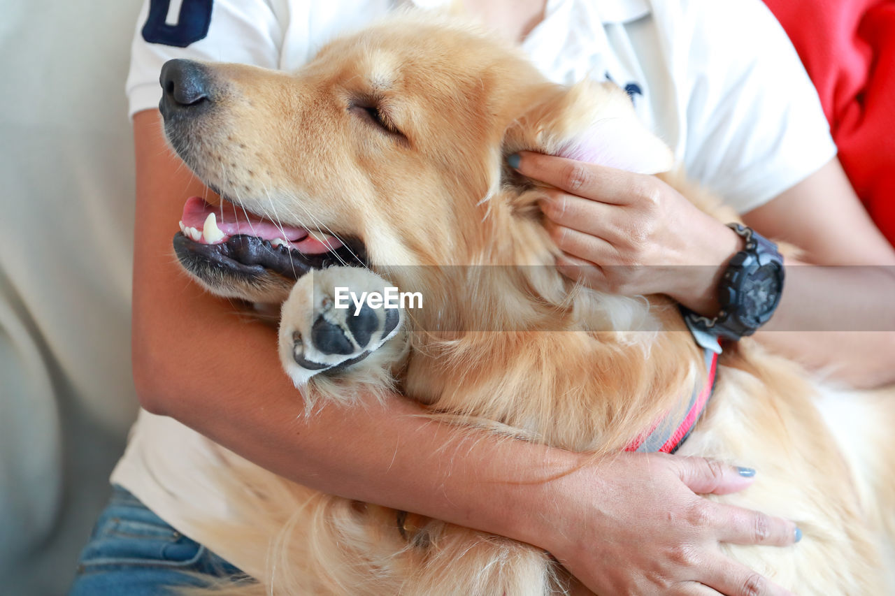 MIDSECTION OF MAN WITH DOG ON BLANKET