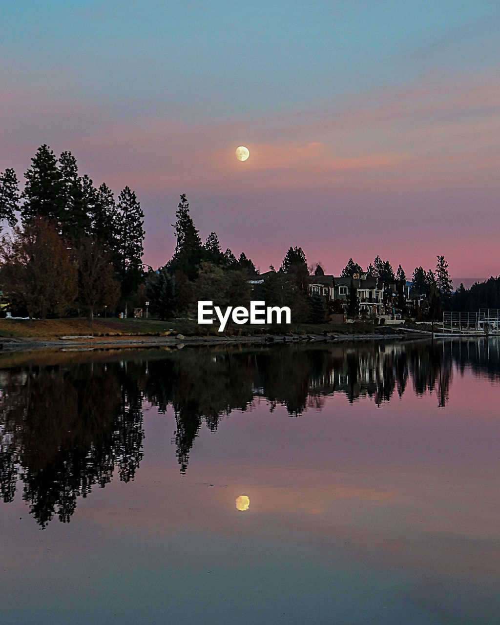 REFLECTION OF TREES IN LAKE DURING SUNSET