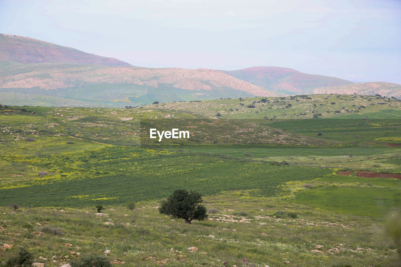 SCENIC VIEW OF LAND AND MOUNTAINS AGAINST SKY