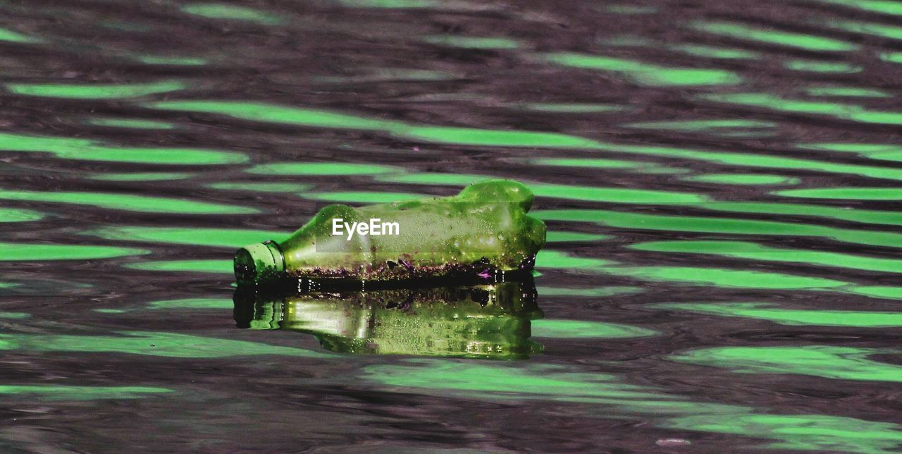 Abandoned plastic bottle on river