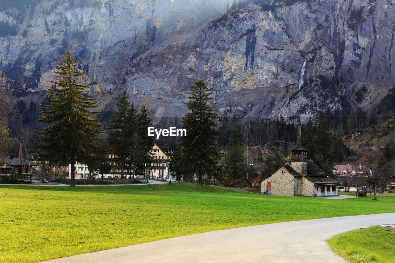 Trees on field against mountains during winter