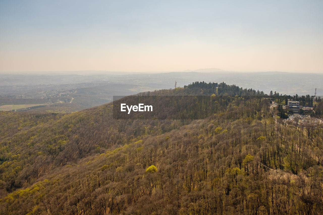 HIGH ANGLE VIEW OF LAND AND TREES AGAINST SKY