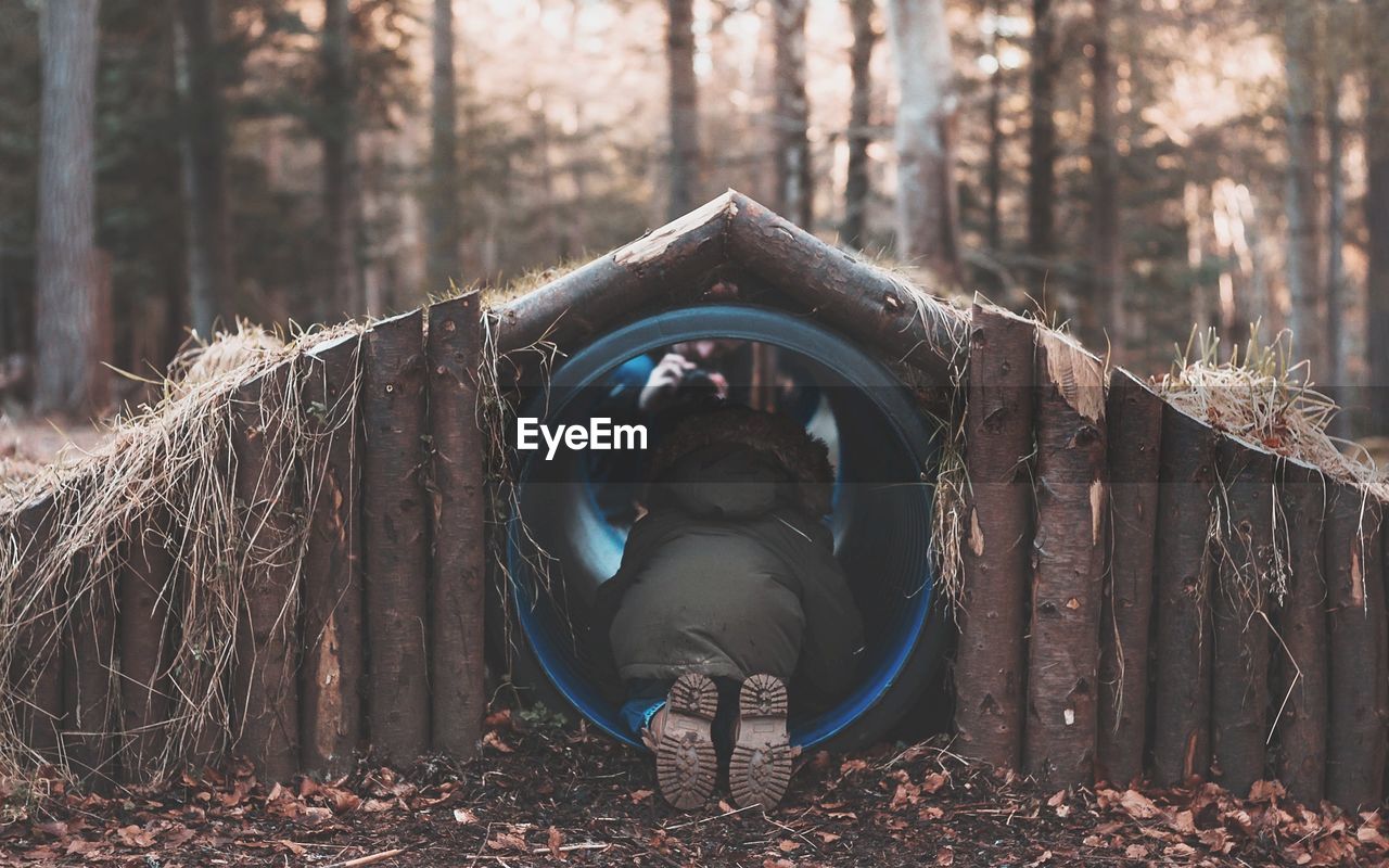 CLOSE-UP OF MAN IN TREE TRUNK IN FOREST