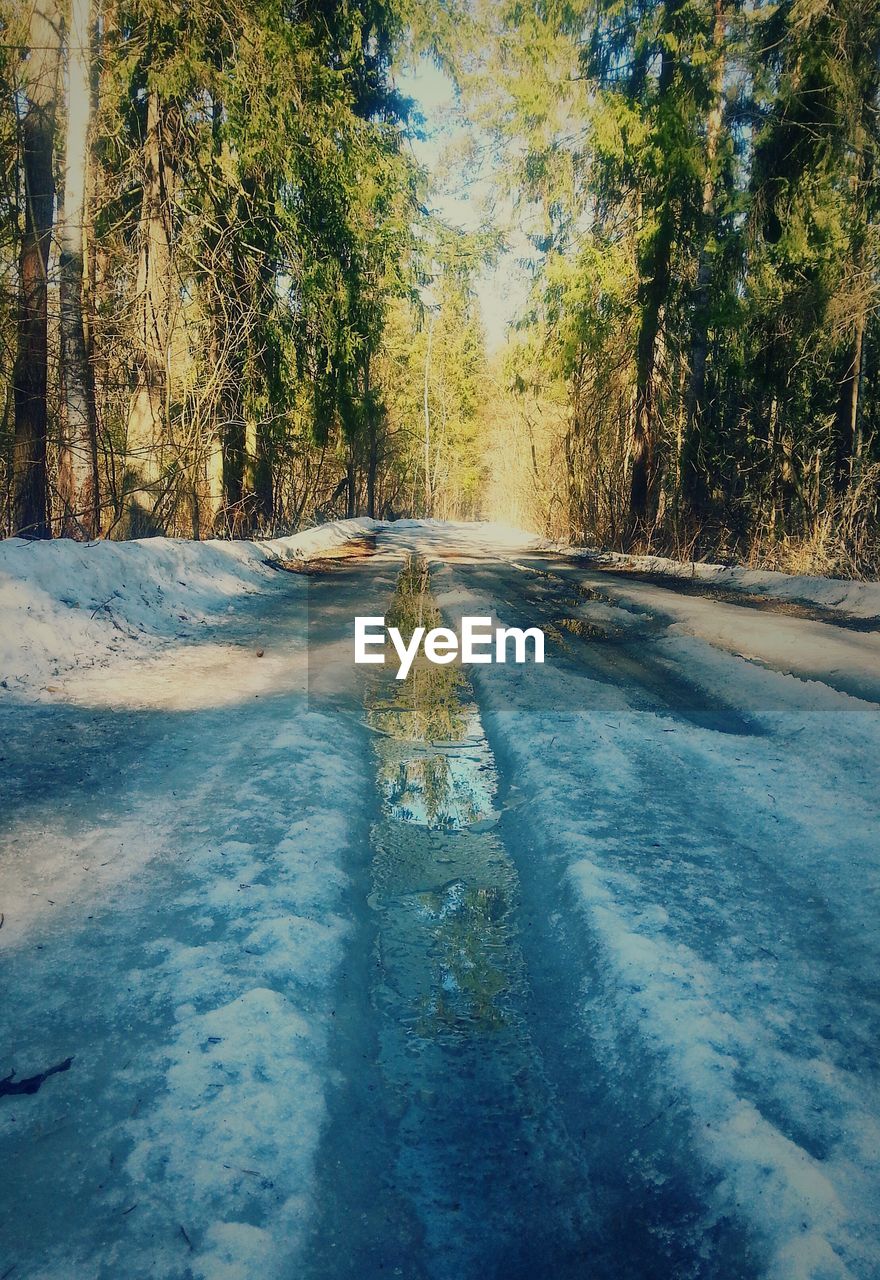 Road passing through forest in winter