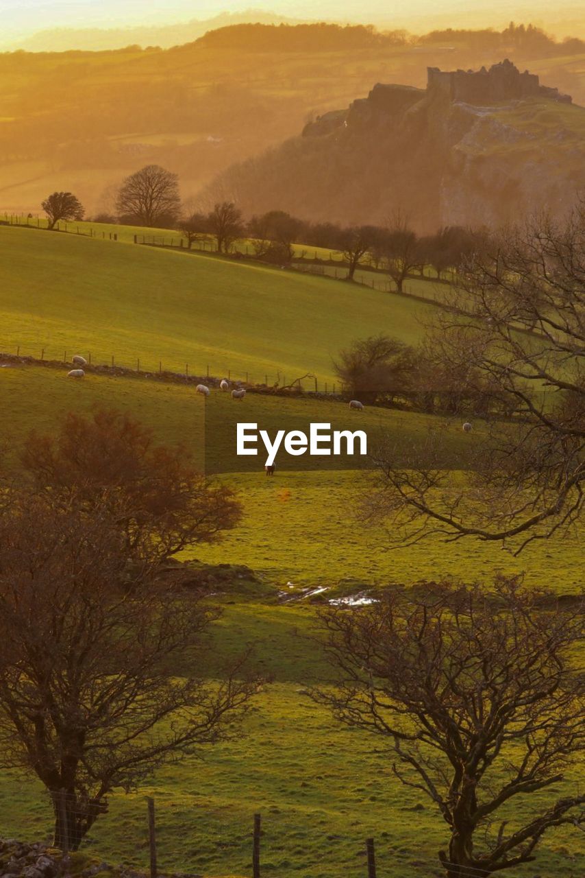 SCENIC VIEW OF LANDSCAPE