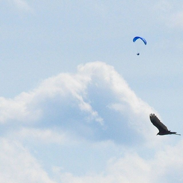 LOW ANGLE VIEW OF PARACHUTE FLYING AGAINST CLOUDY SKY