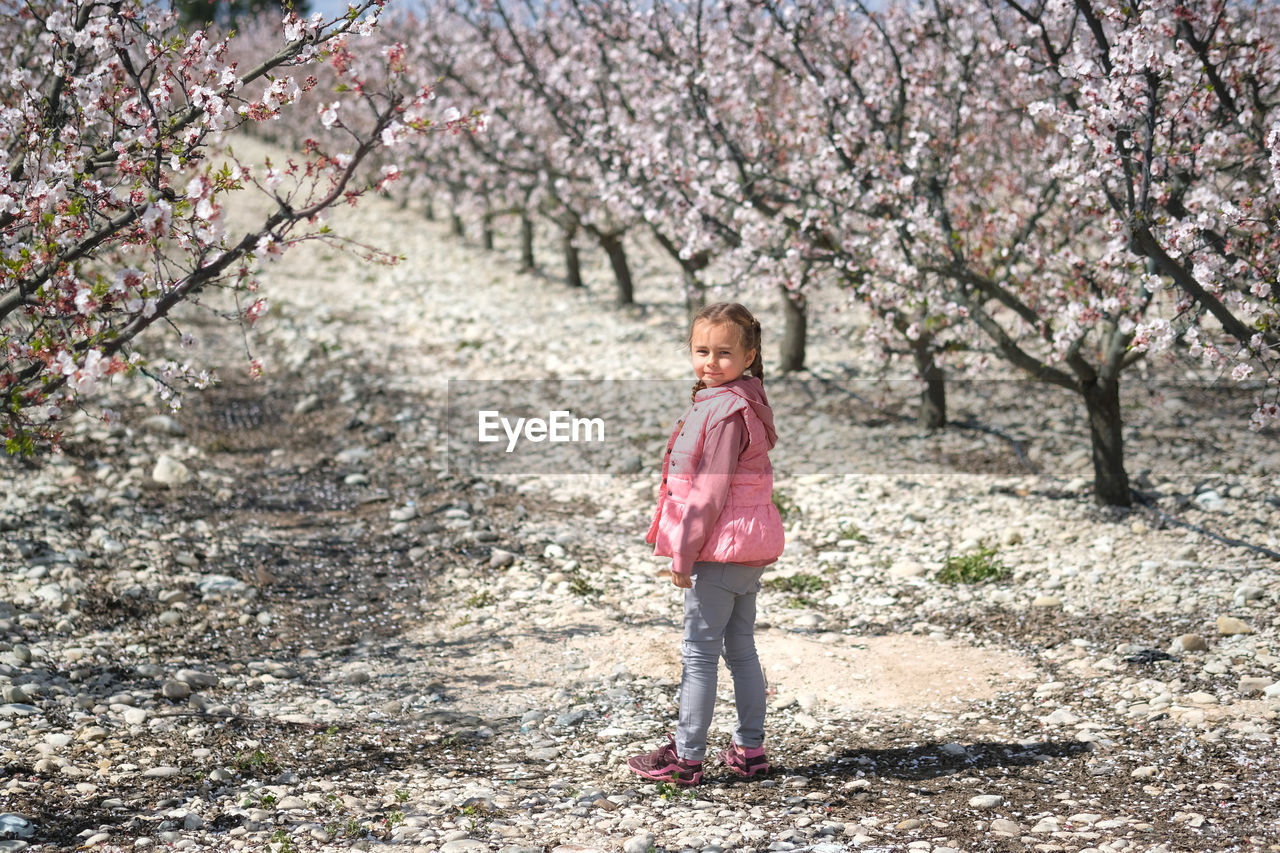 Portrait of cute girl standing against cherry trees