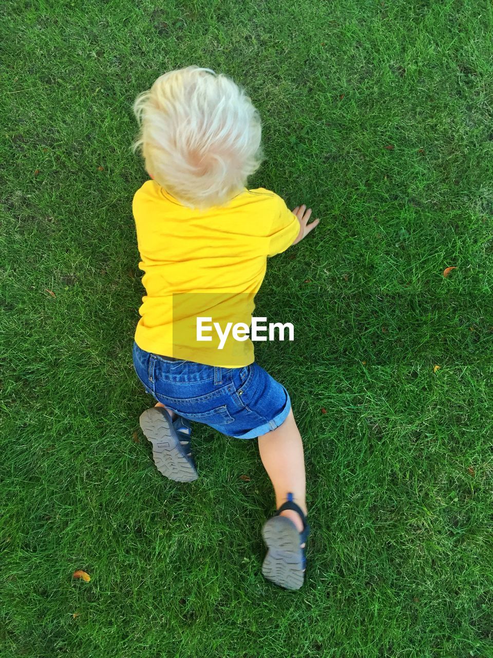 High angle view of boy crawling on grassy field