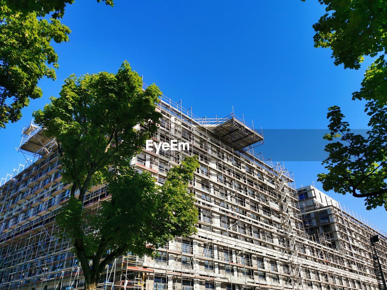 LOW ANGLE VIEW OF TREE AND BUILDING AGAINST BLUE SKY
