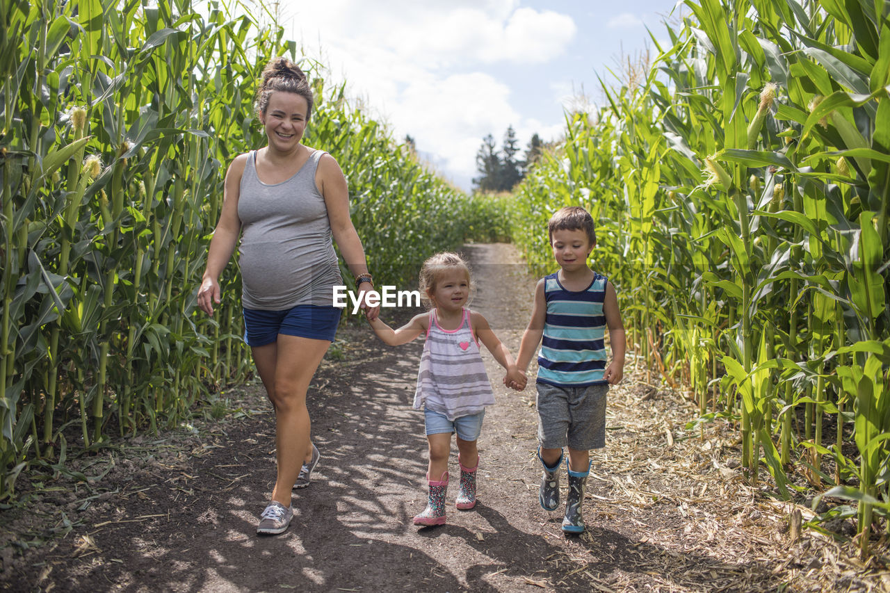 Pregnant mother enjoying corn maze with her two children,