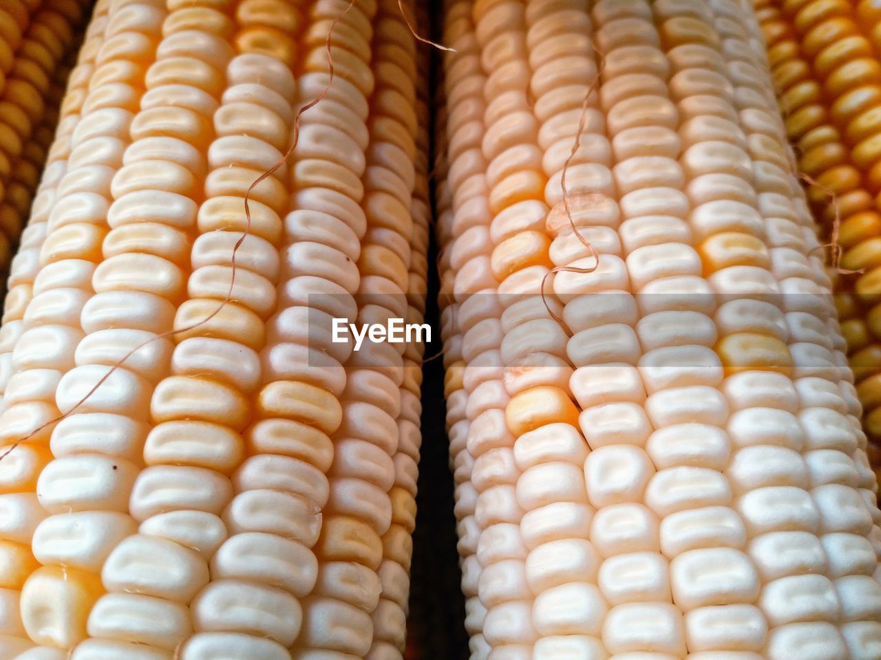 FULL FRAME SHOT OF BREAD IN ROW