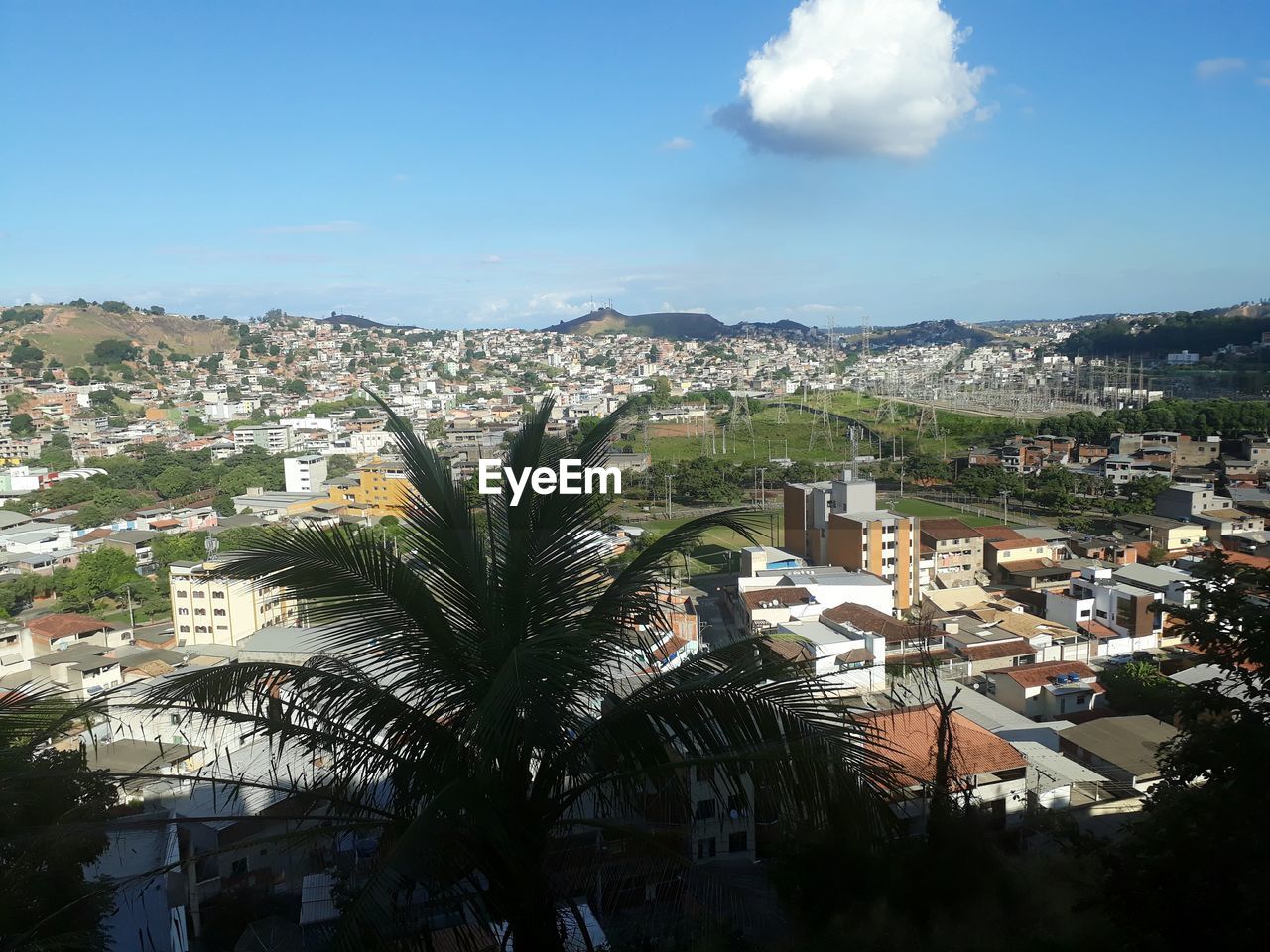 HIGH ANGLE VIEW OF TREES AND BUILDINGS IN CITY