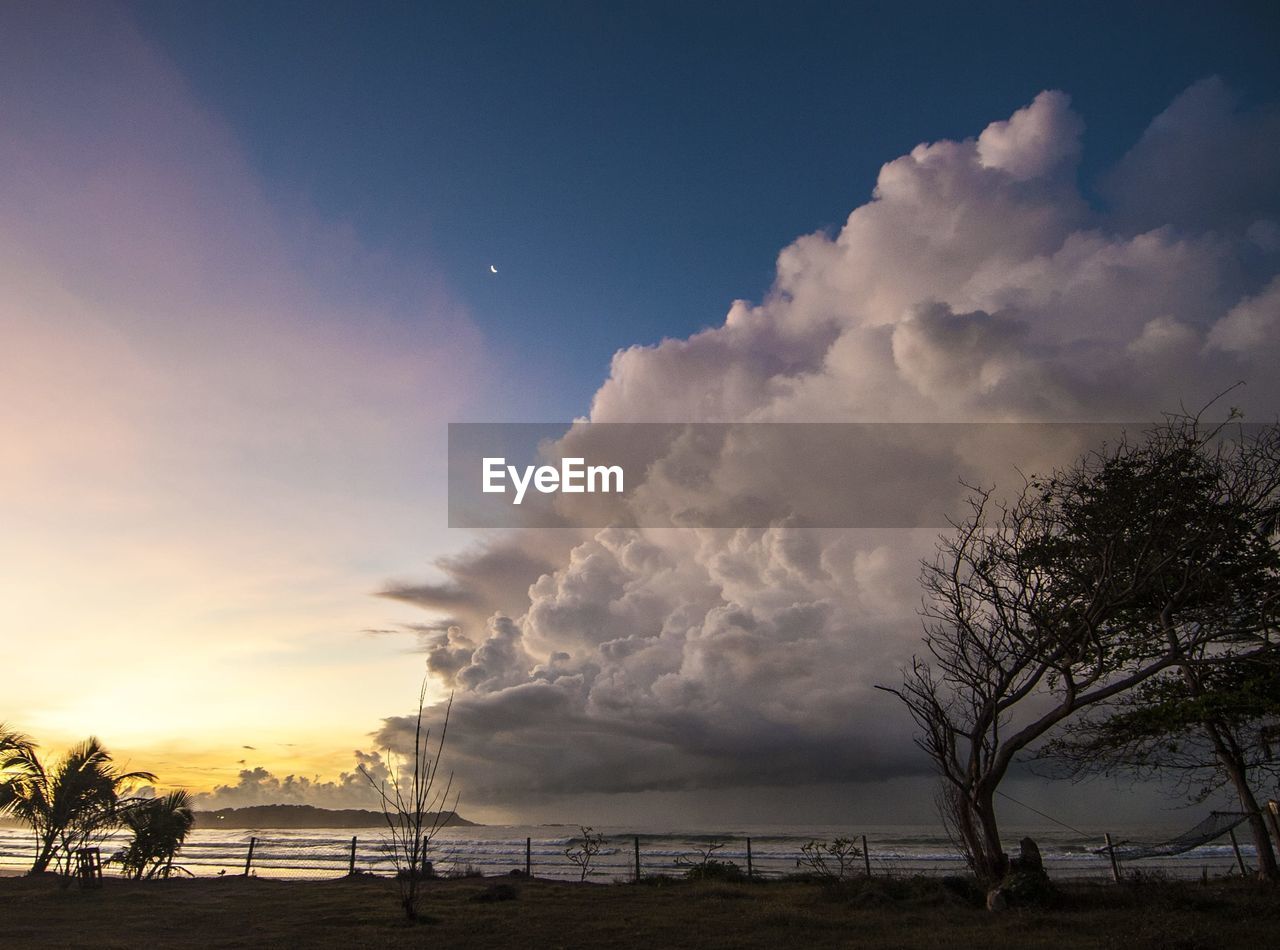 SILHOUETTE TREES ON BEACH AGAINST SKY DURING SUNSET