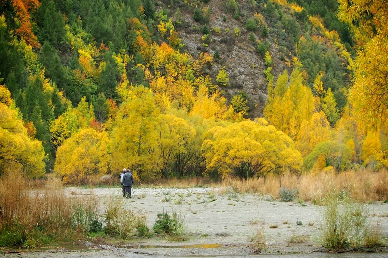 Rear view of men looking at mountains