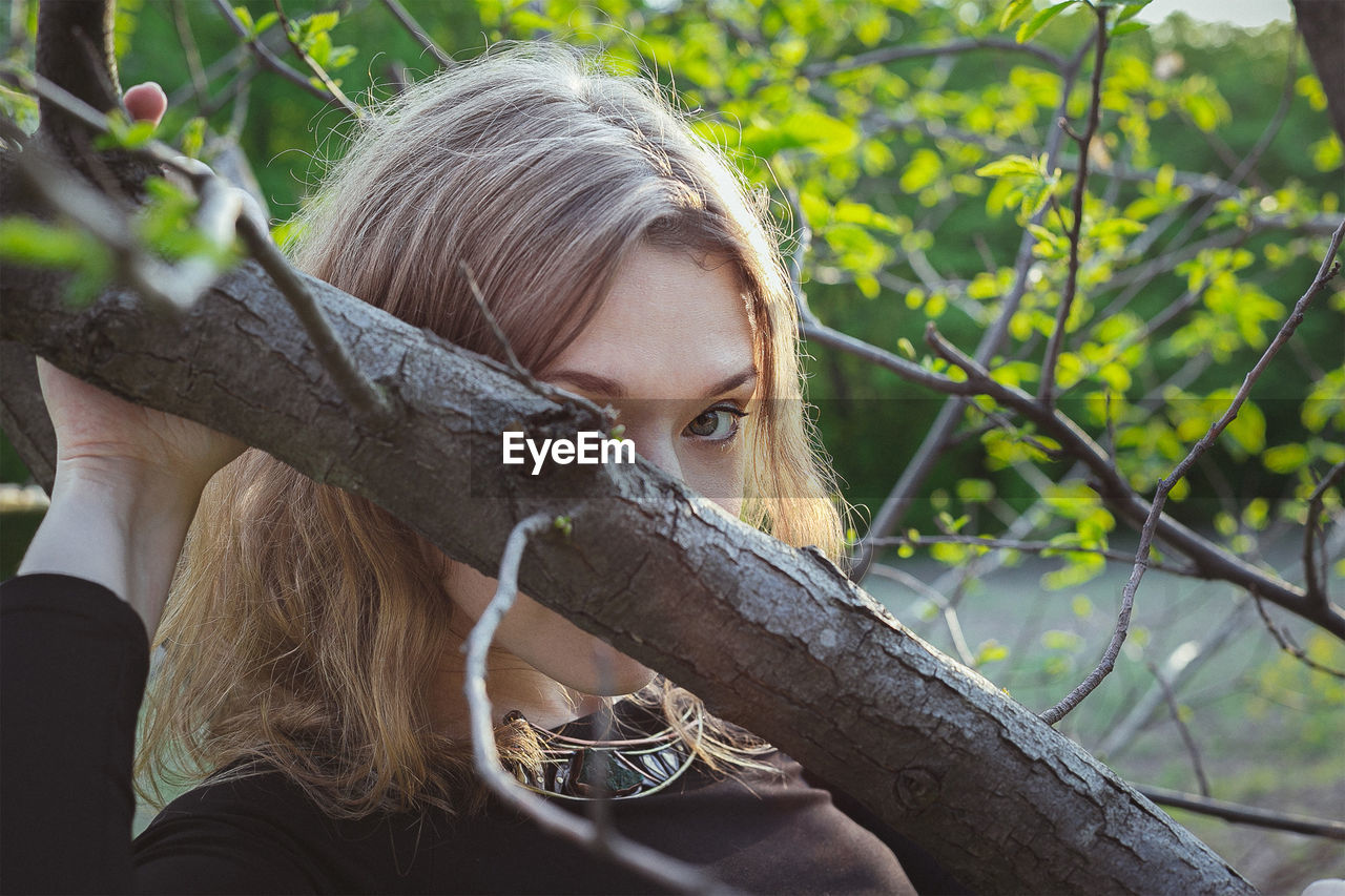 Close up young woman peeking over tree bough portrait picture