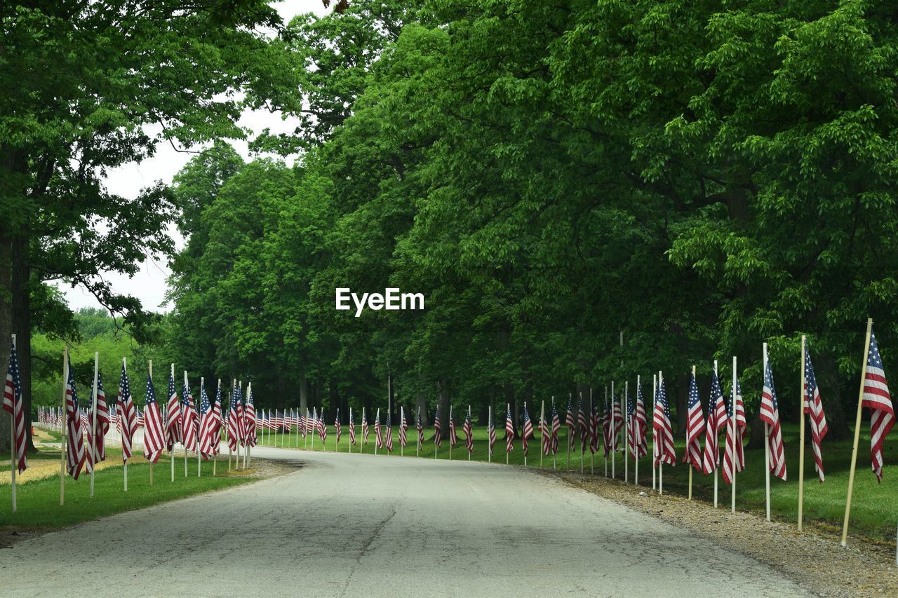 American flags in park against trees