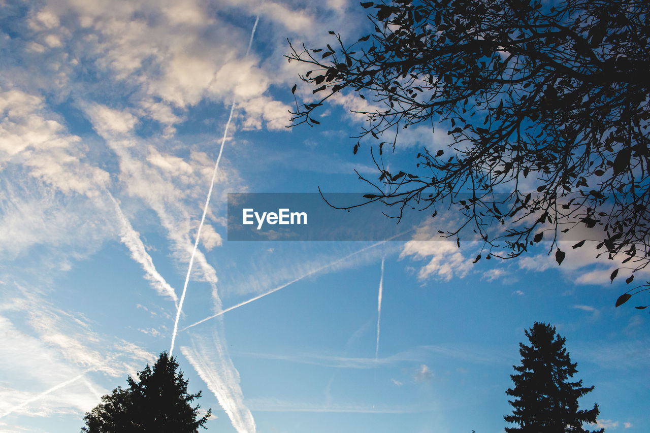 Low angle view of vapor trail in sky