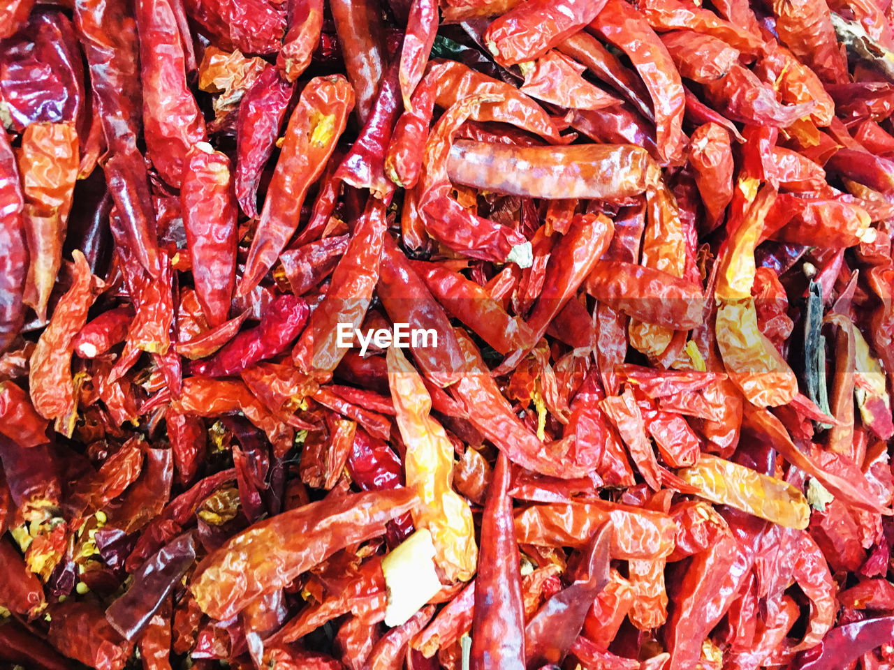 Dried red hot chili peppers, food ingredient