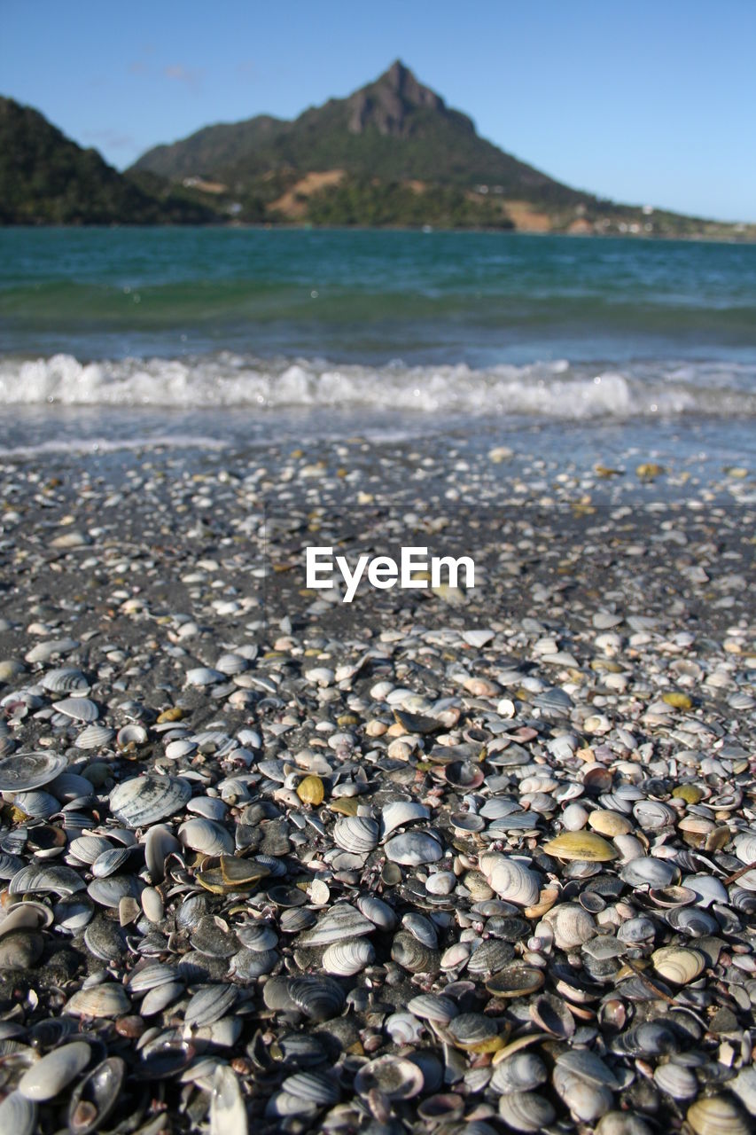 Scenic view of beach