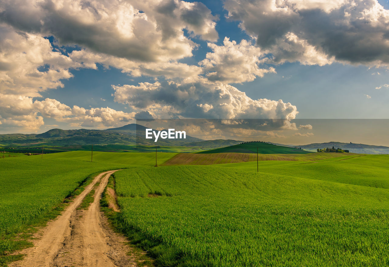 View of dirt road in field