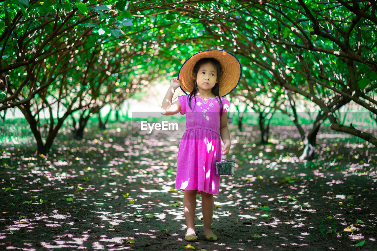 Full length of girl standing amidst trees on land