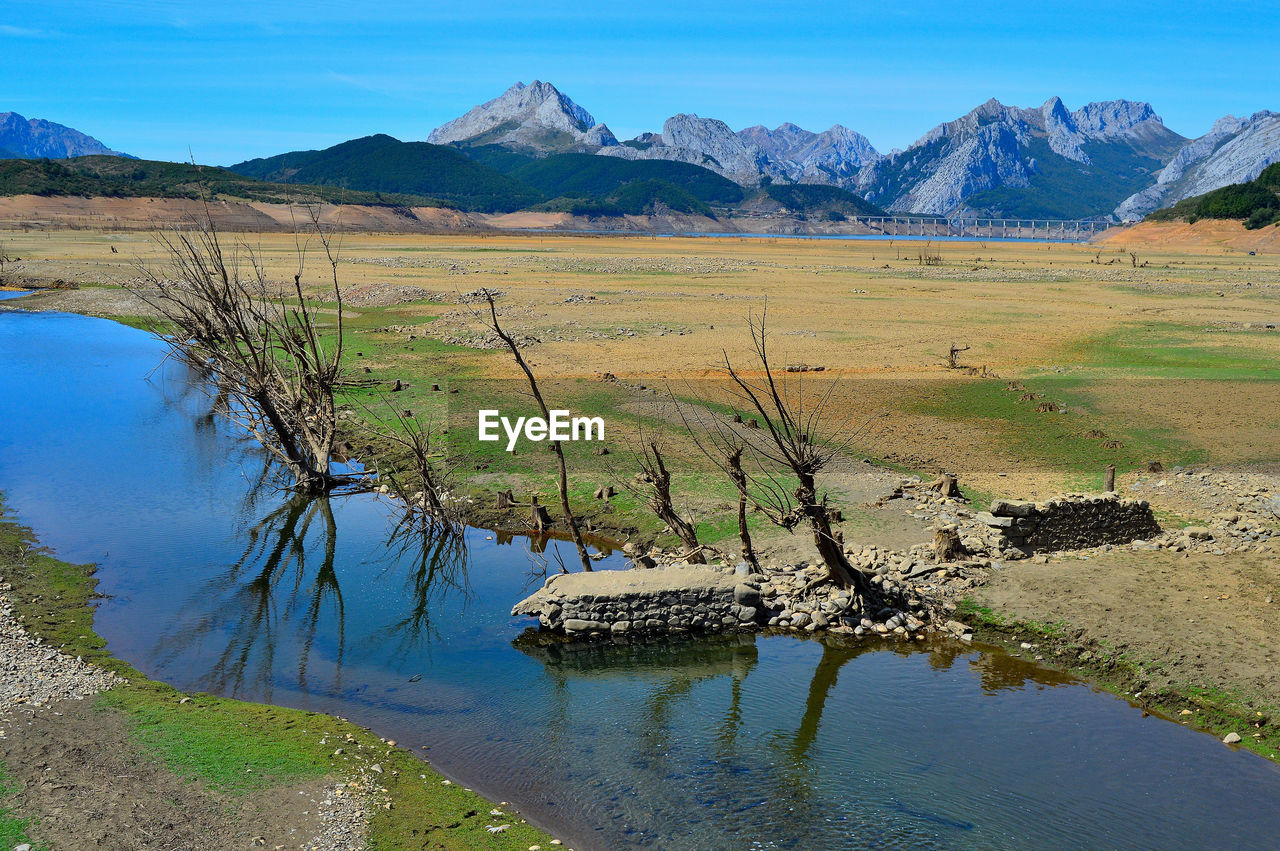 In the summer of 2017, a great drought emptied the swamps of northern spain. 
