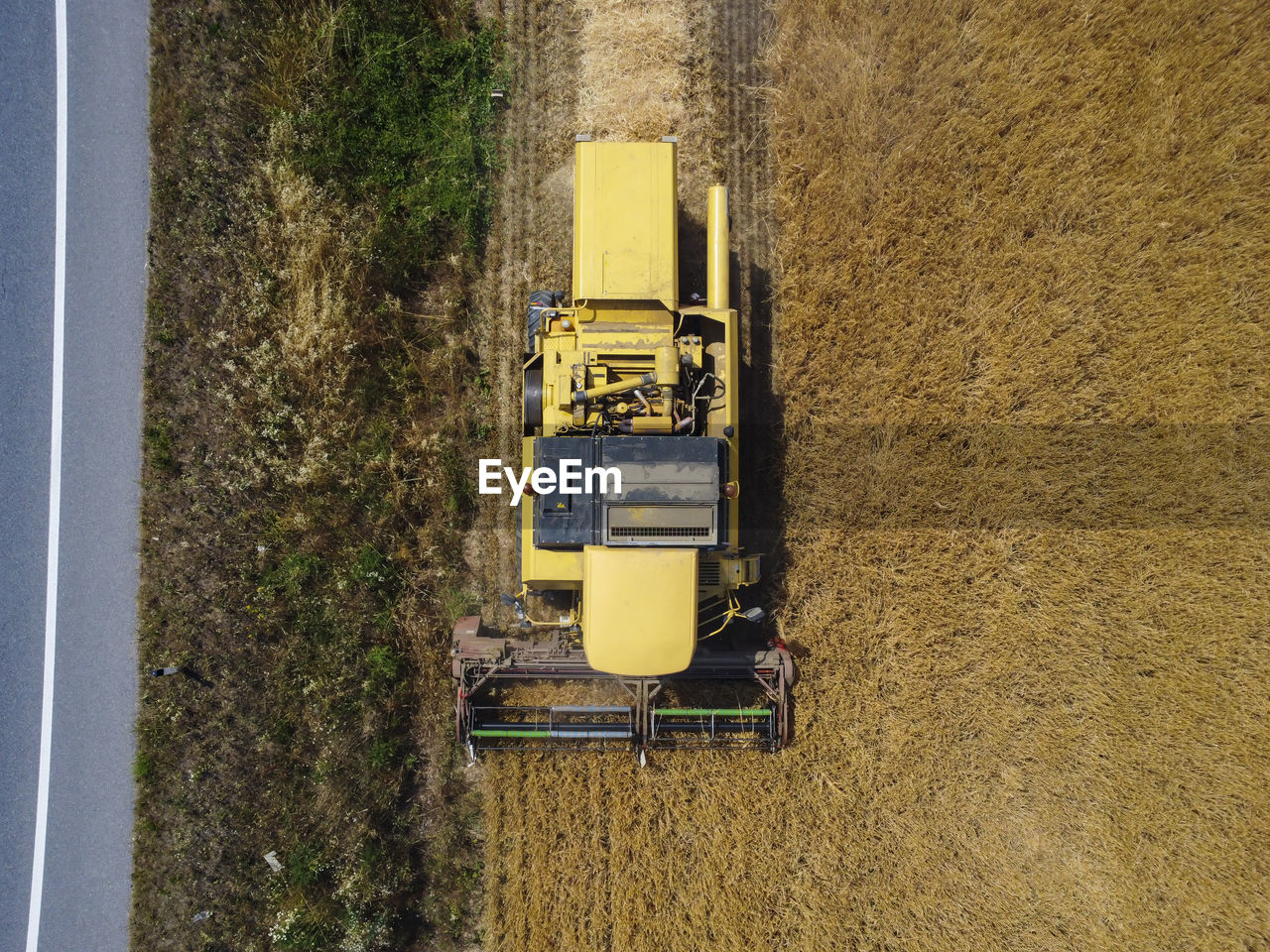 Harvesting scene in the italian countryside