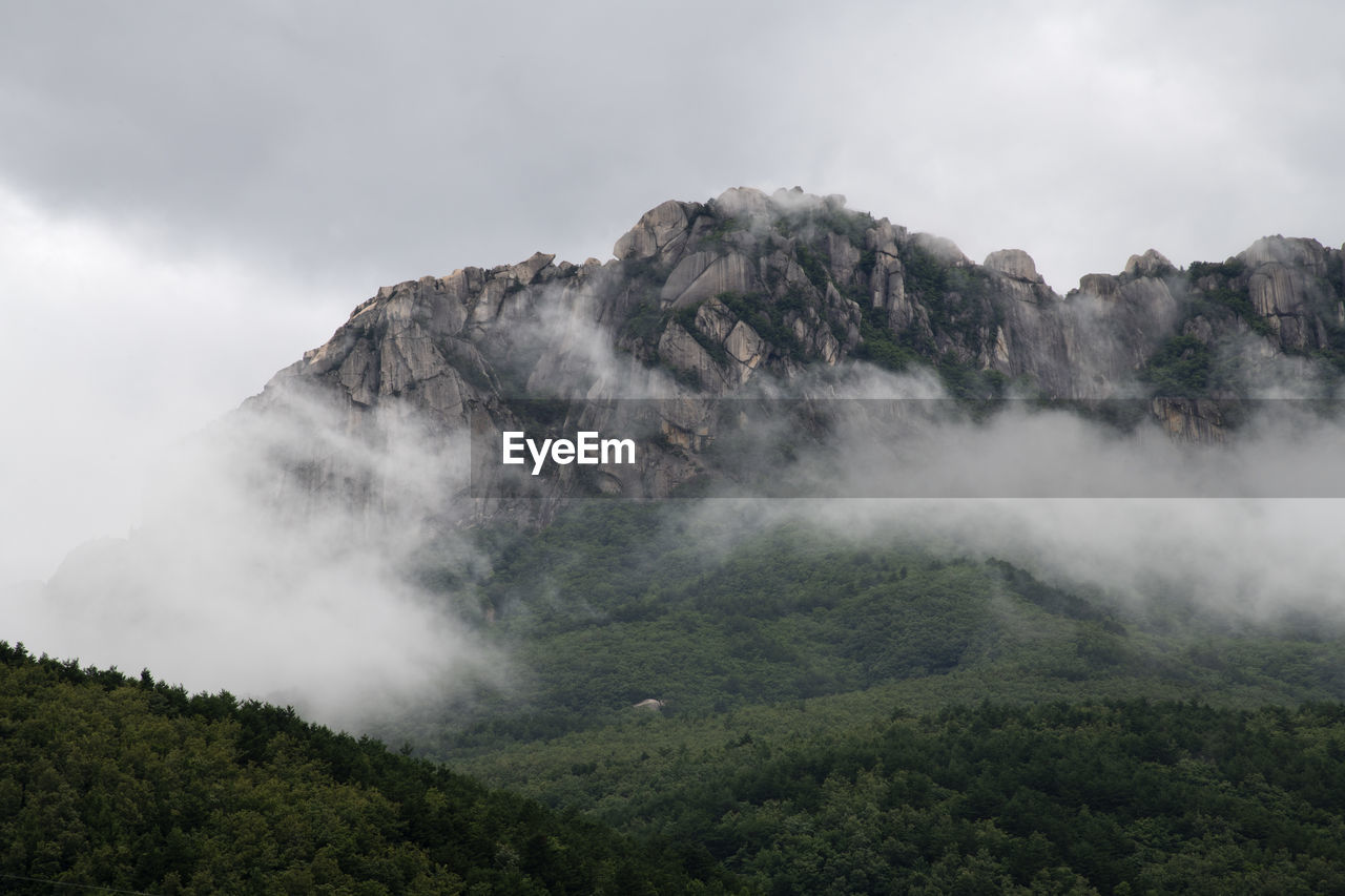 Scenic view of fogged mountain against sky