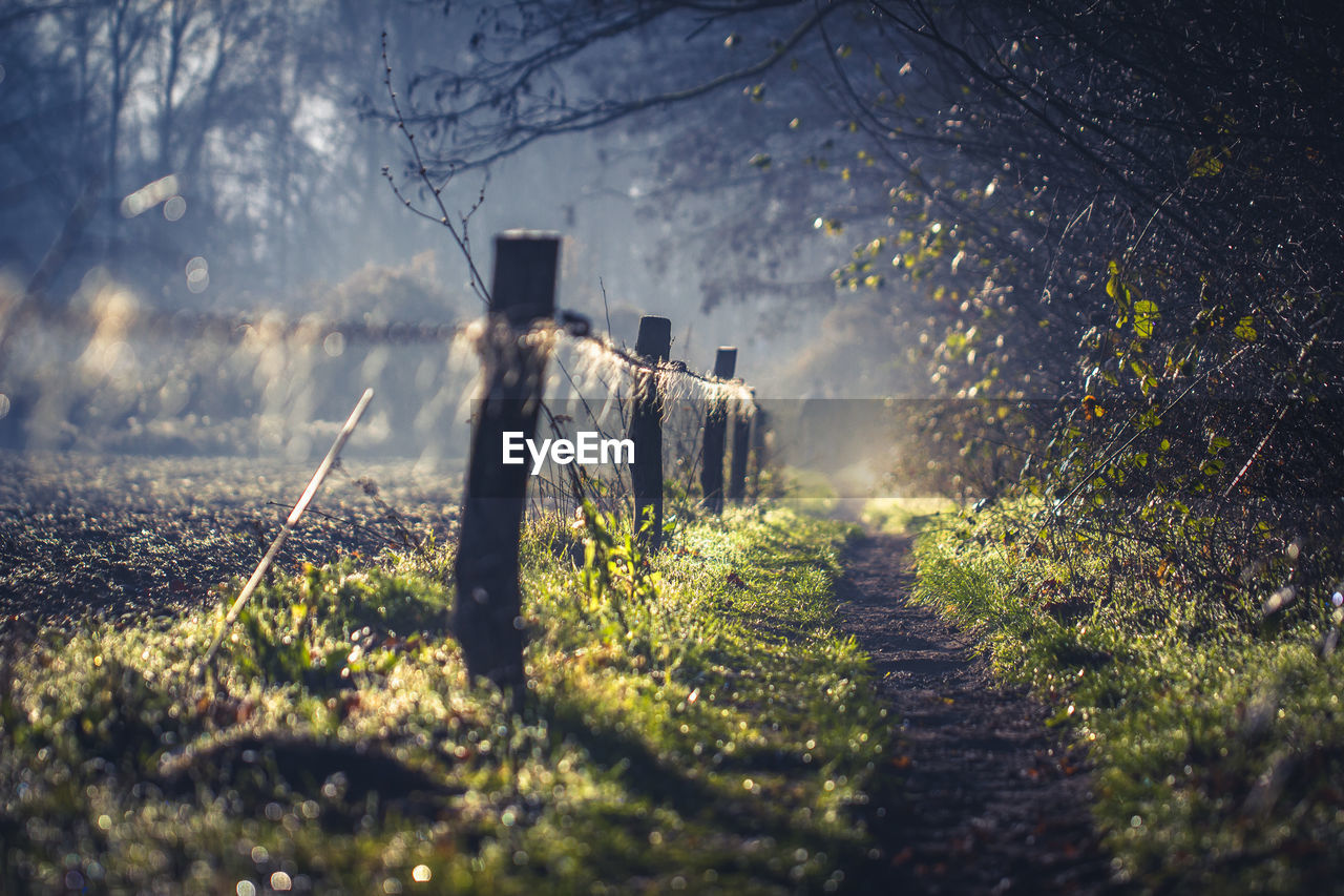 Panoramic view of barbed wire on footpath in landscape