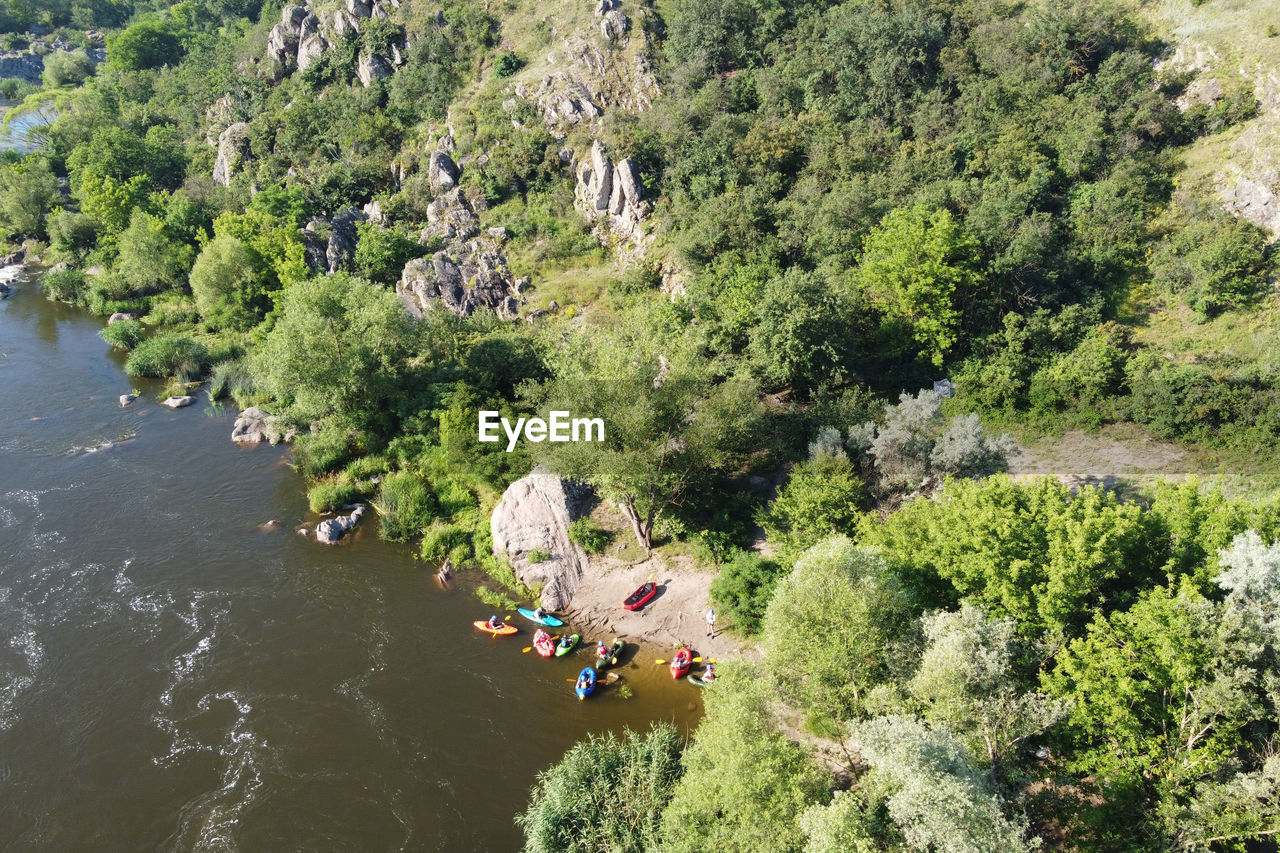 HIGH ANGLE VIEW OF PEOPLE BY TREE