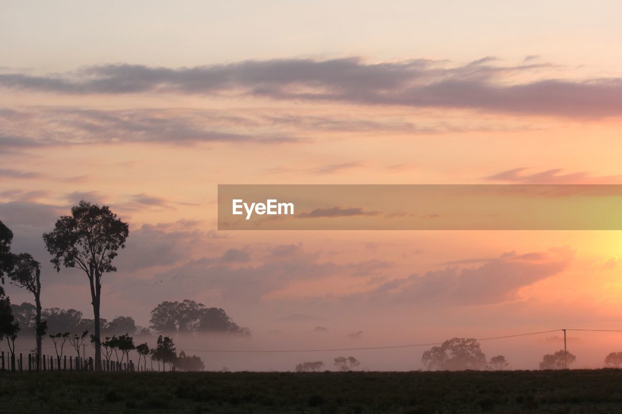 SCENIC VIEW OF FIELD AGAINST ORANGE SKY