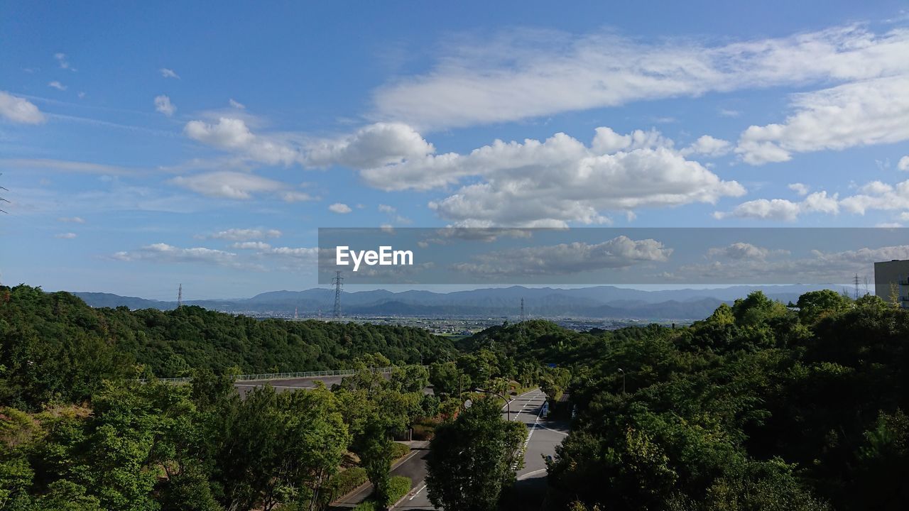 SCENIC VIEW OF TREES AND PLANTS AGAINST SKY