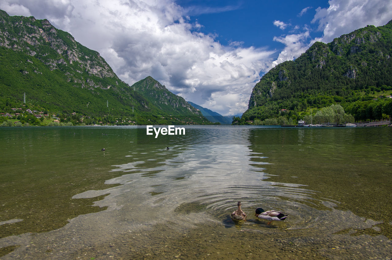 SCENIC VIEW OF LAKE