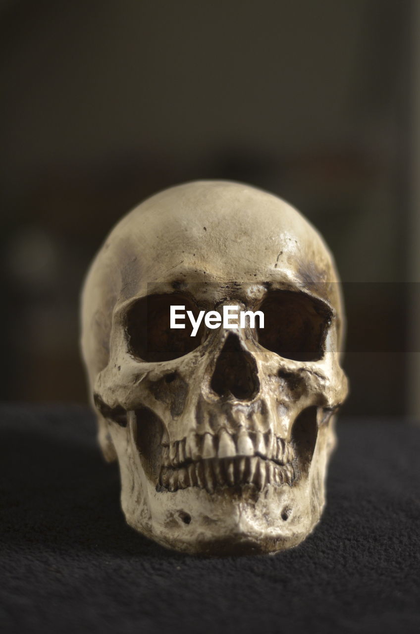 Close-up of human skull on table