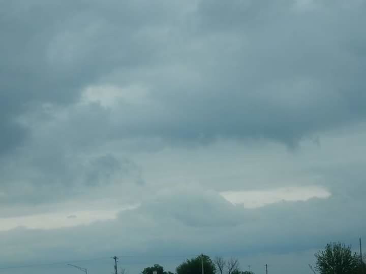 SILHOUETTE OF TREES AGAINST CLOUDY SKY