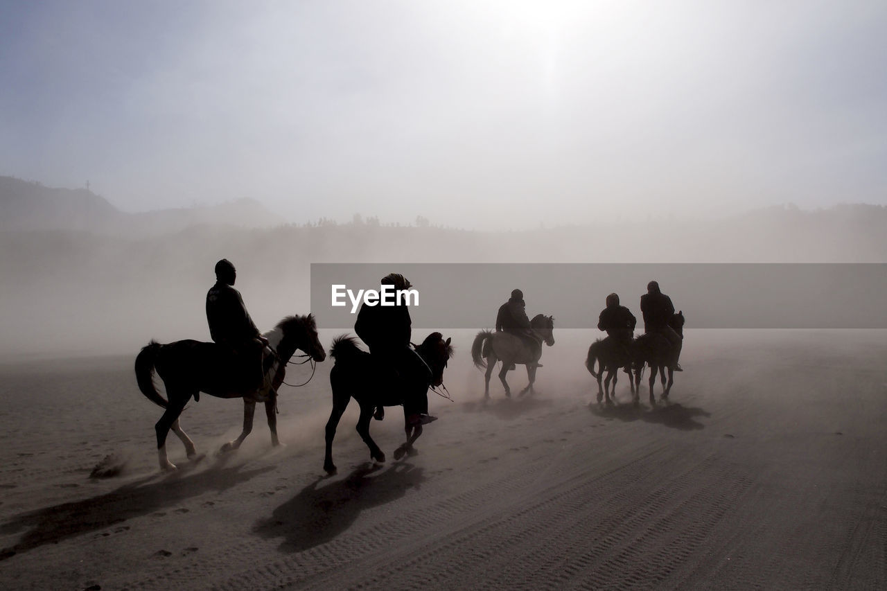 People riding horses on desert against sky