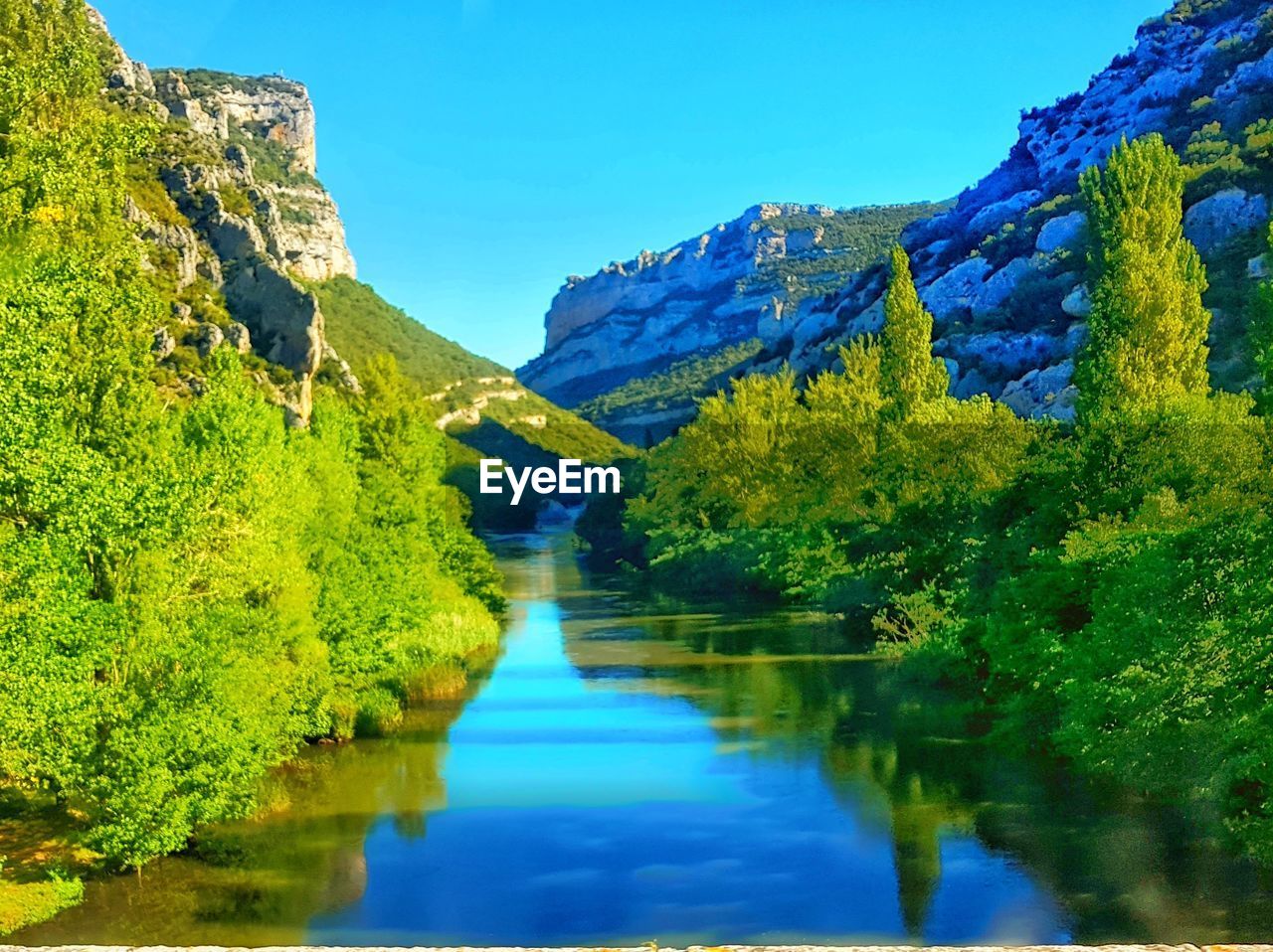 RIVER AMIDST TREES IN FOREST AGAINST CLEAR BLUE SKY