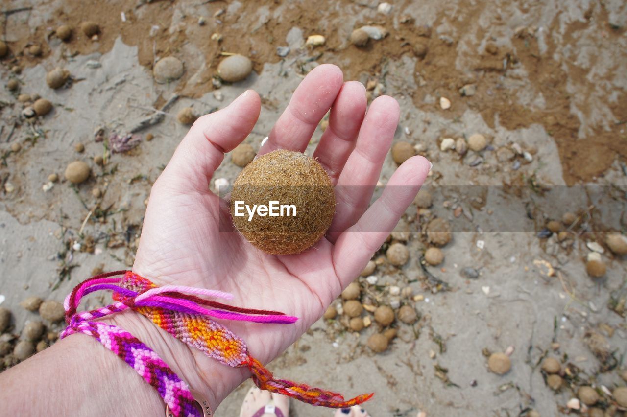 Close-up of hand holding sphere at beach