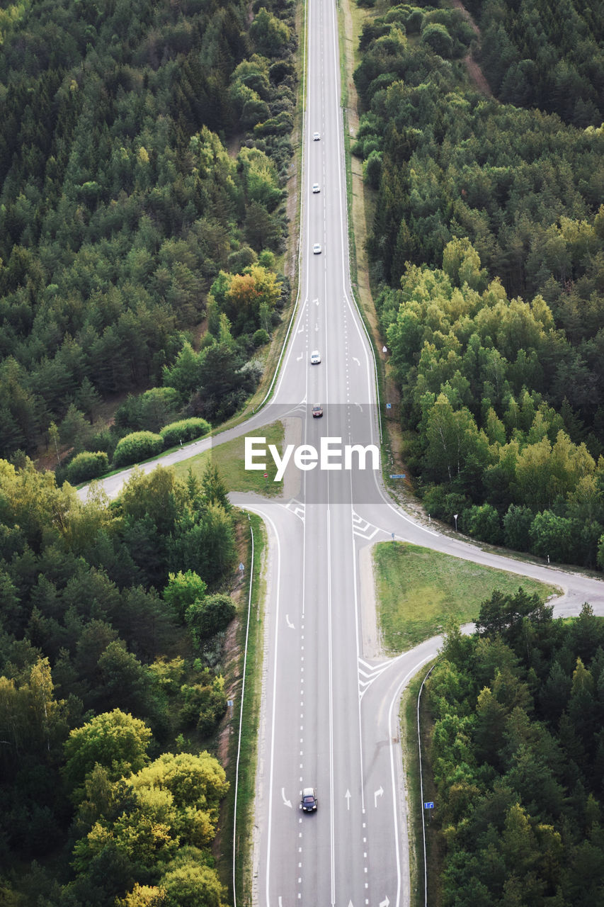 High angle view of road amidst trees in forest