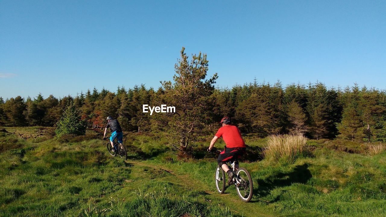 Rear view of people riding bicycle on mountain