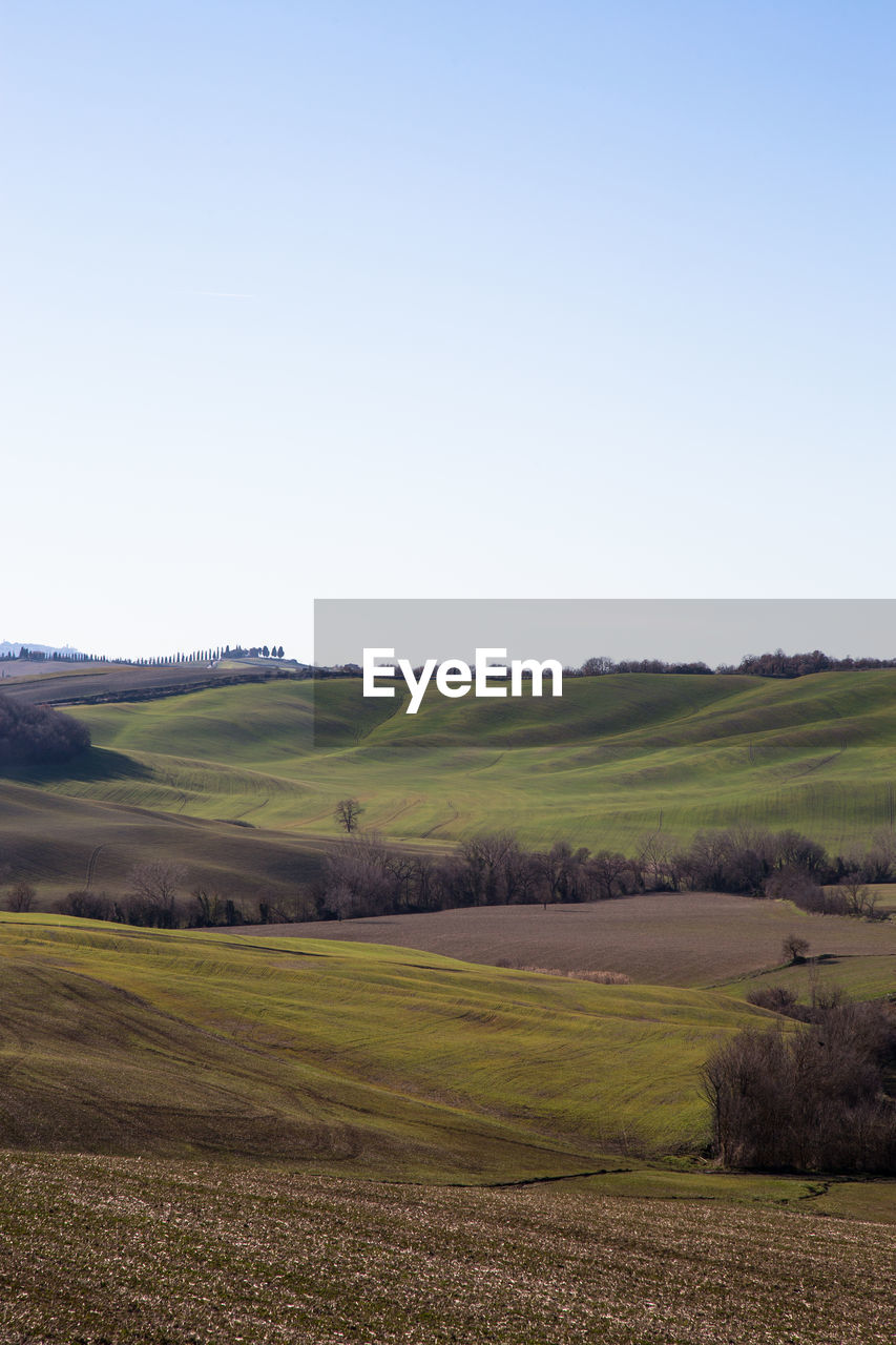 Scenic view of farm against clear sky