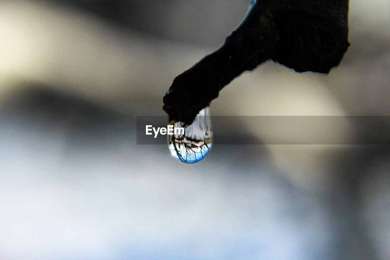 close-up, macro photography, blue, focus on foreground, water, black, light, reflection, nature, no people, drop, white, day, outdoors, darkness